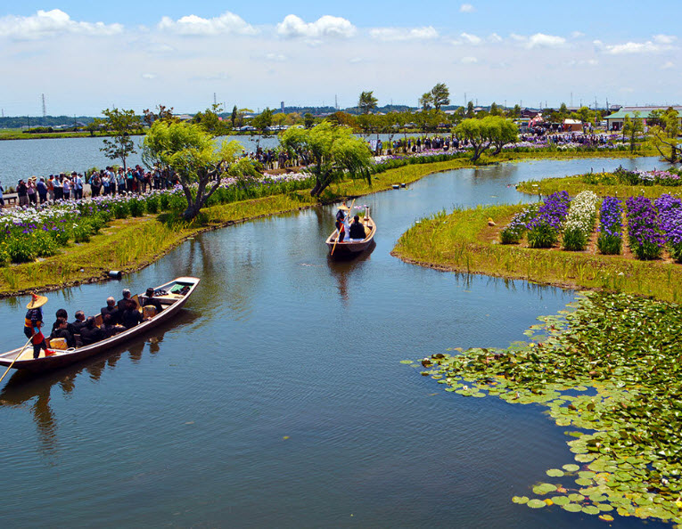 Suigo Sawara Ayame Park, Katori, Japan, Japan